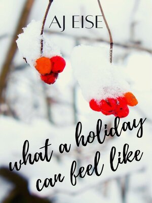 cover image of What a Holiday Can Feel Like